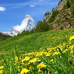 Ruetschi-2 By Interhome Daire Zermatt
